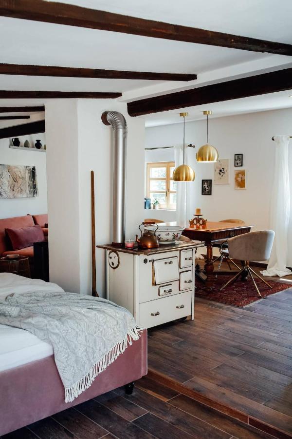 Apartment Aussee- Atelier Salzherrenhof- Kueche, Wlan, Netflix Bad Aussee Ngoại thất bức ảnh